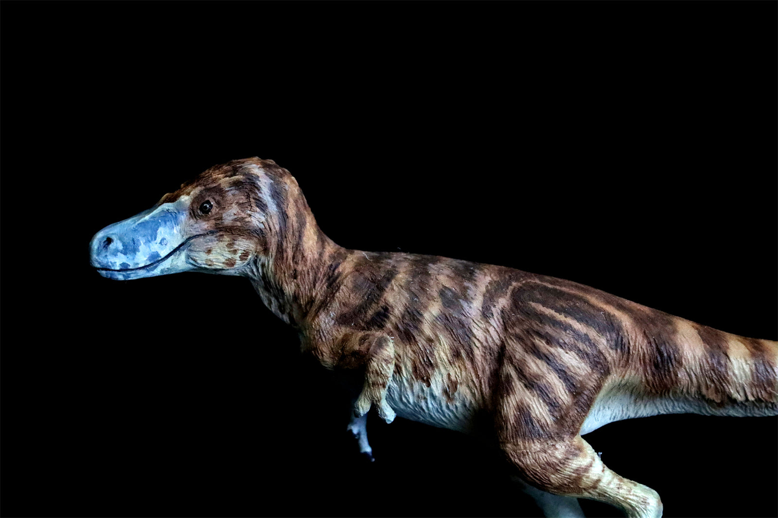 Cen DaoYi Studio 1:15 Scale Tyrannosaurus Cub Statue Model Kit