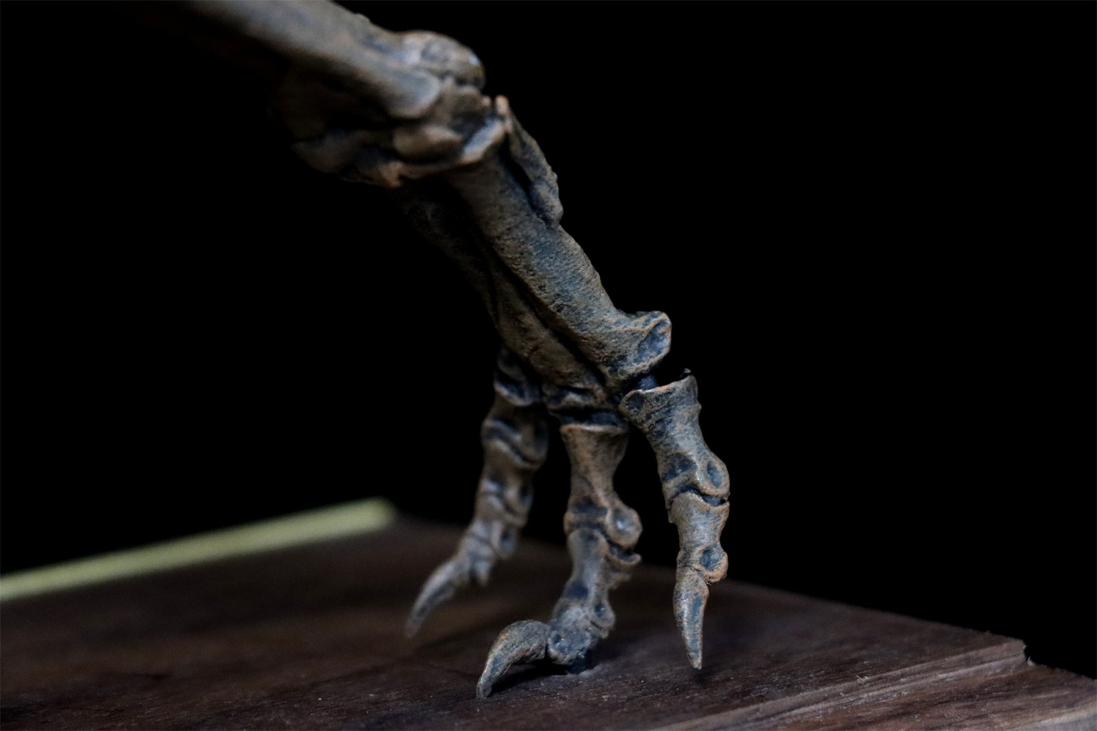 1/20 Tyrannosaurus Rex Trix Skeleton Model