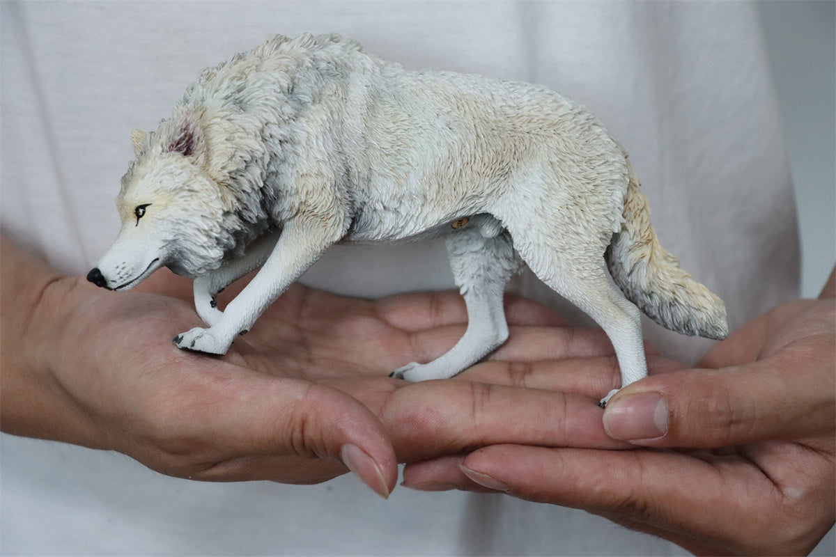 JXK 1/6 North American Gray Wolf Model