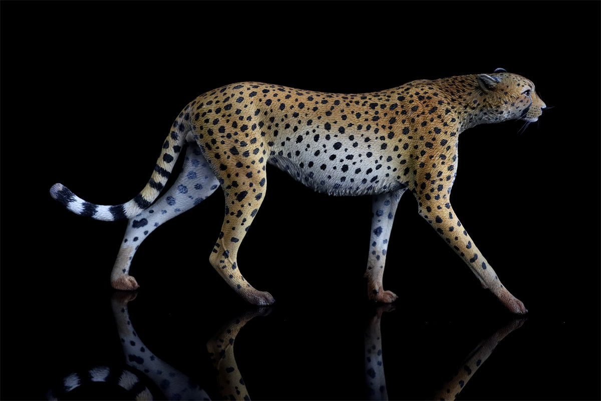 JXK 1/6 Acinonyx jubatus King Cheetha Model
