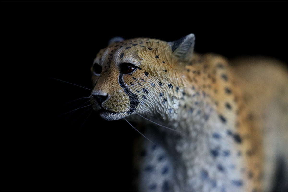 JXK 1/6 Acinonyx jubatus King Cheetha Model