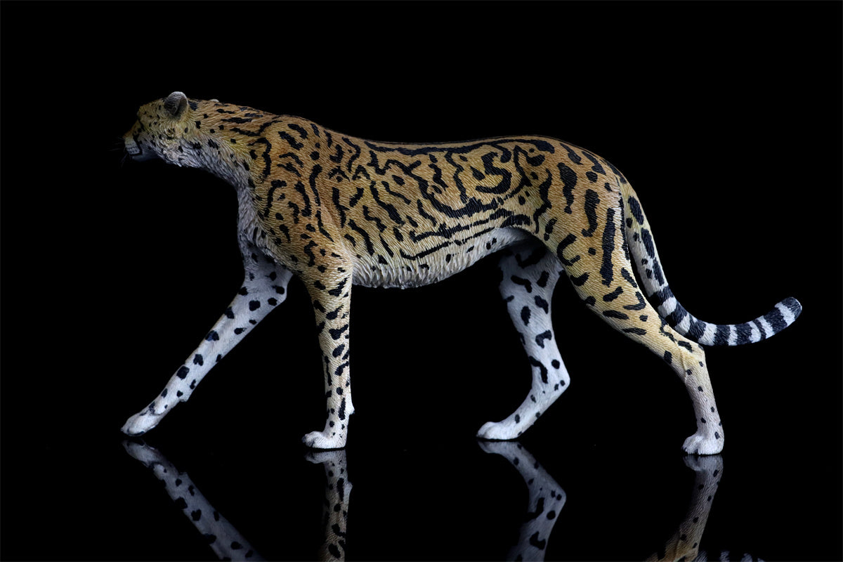 JXK 1/6 Acinonyx jubatus King Cheetha Model