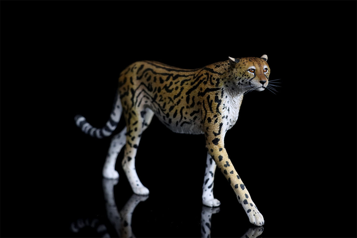 JXK 1/6 Acinonyx jubatus King Cheetha Model