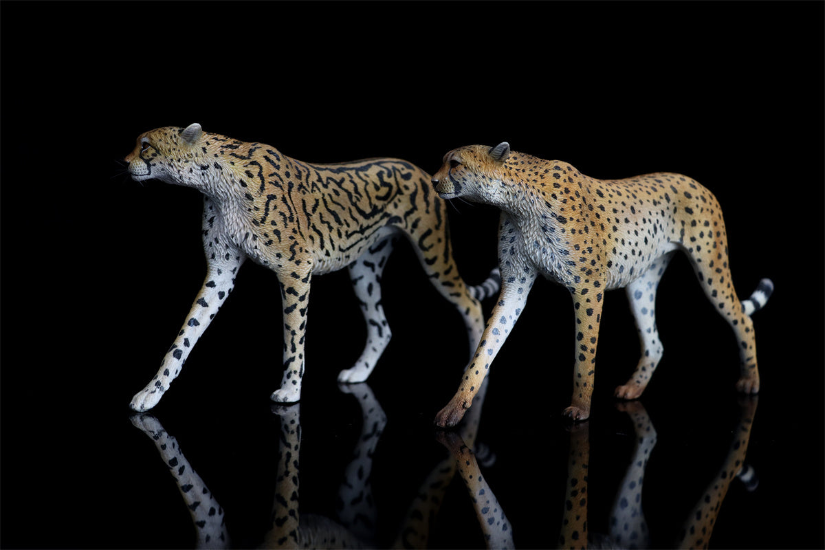 JXK 1/6 Acinonyx jubatus King Cheetha Model