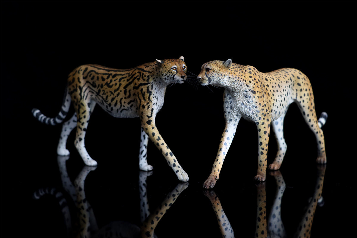 JXK 1/6 Acinonyx jubatus King Cheetha Model