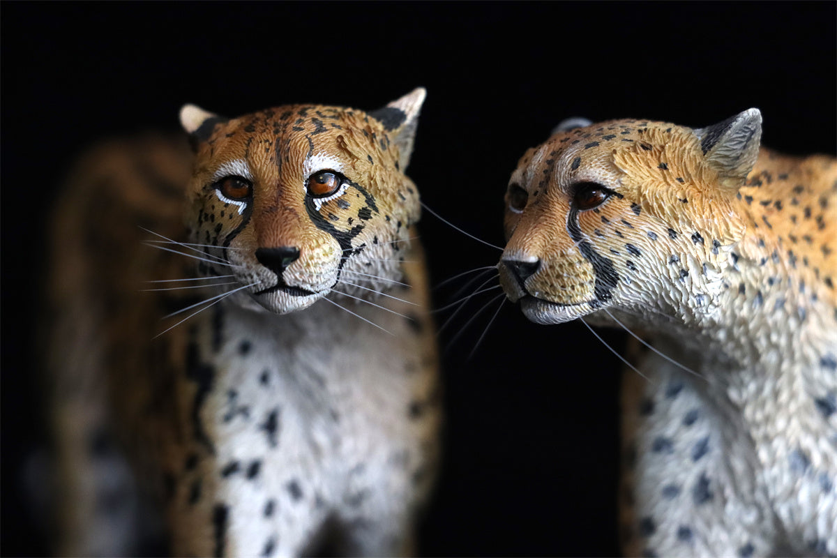 JXK 1/6 Acinonyx jubatus King Cheetha Model