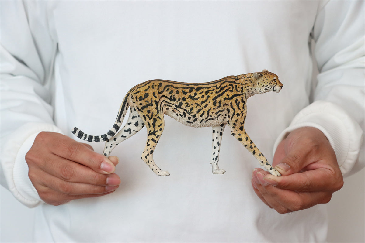 JXK 1/6 Acinonyx jubatus King Cheetha Model