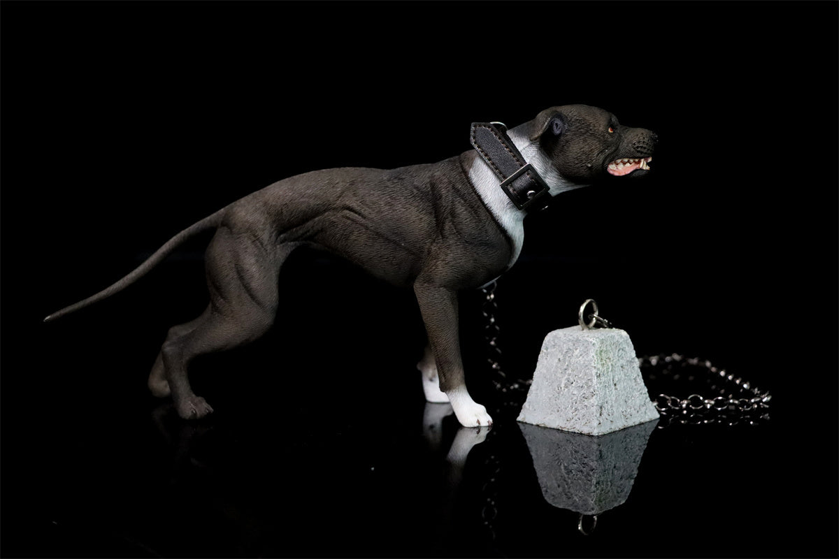 JXK 1/6 American Pit Bull Terrier Model