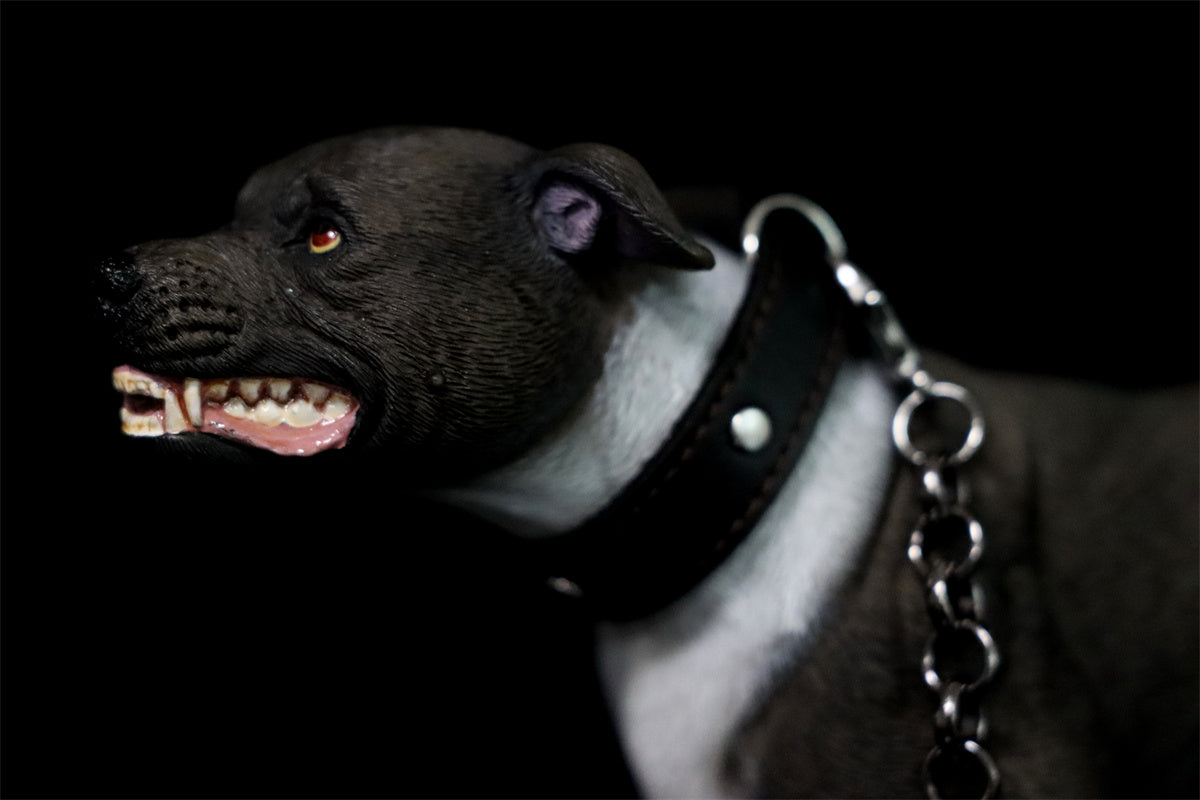JXK 1/6 American Pit Bull Terrier Model