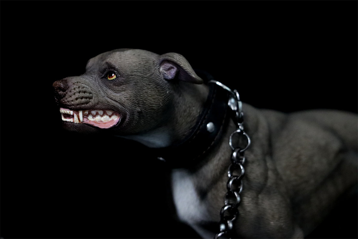 JXK 1/6 American Pit Bull Terrier Model