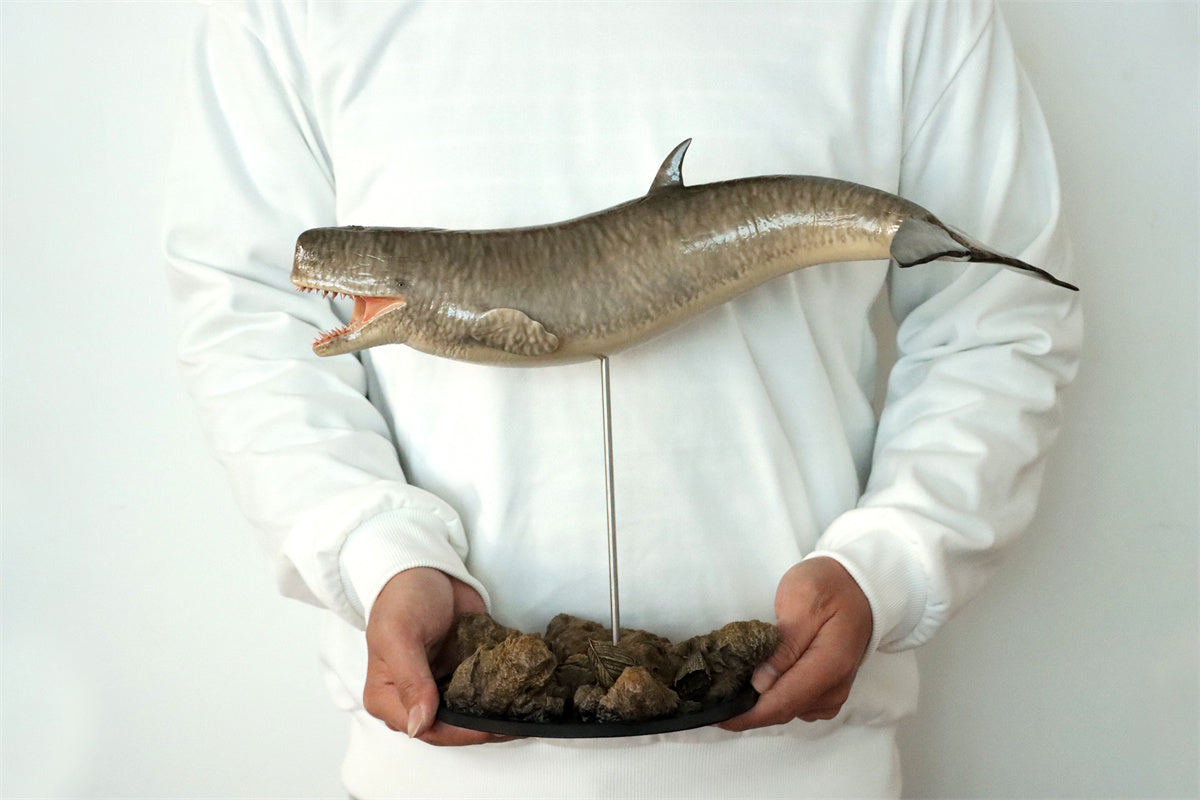 Livyatan melvillei Statue