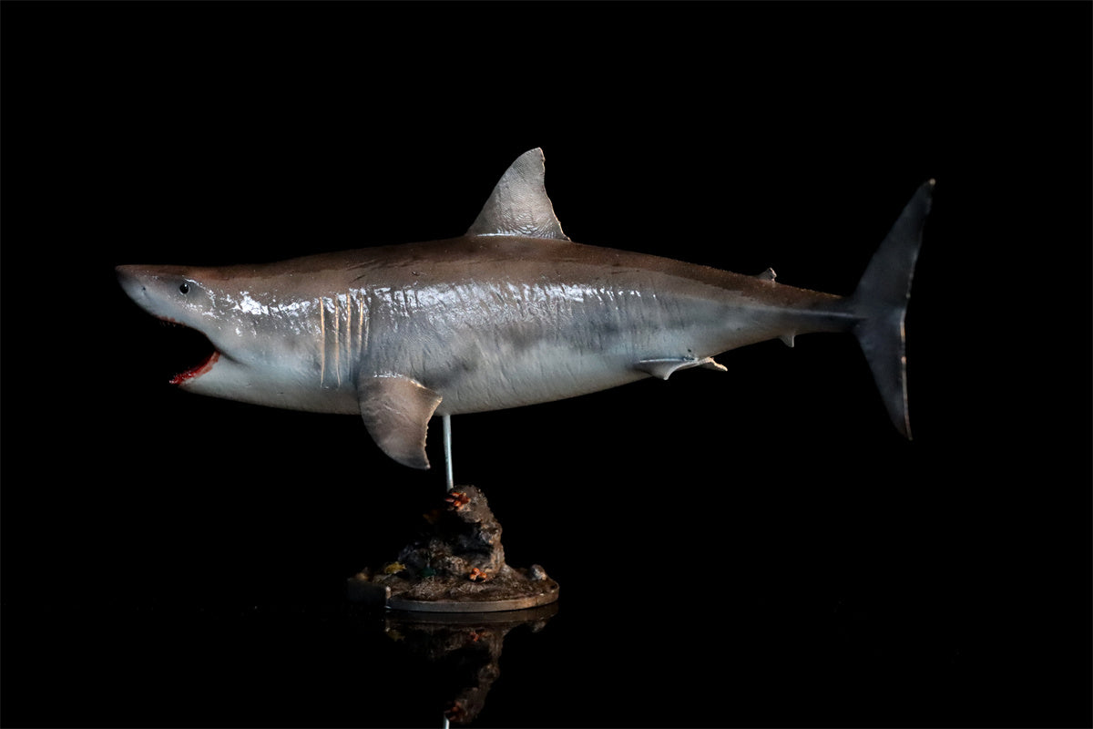 Rheic 1/35 Great White Shark Model