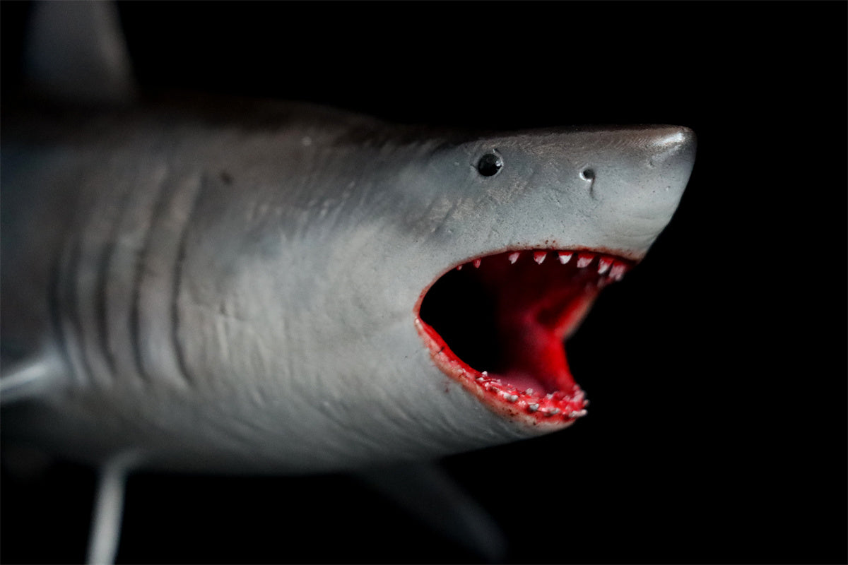 Rheic 1/35 Great White Shark Model