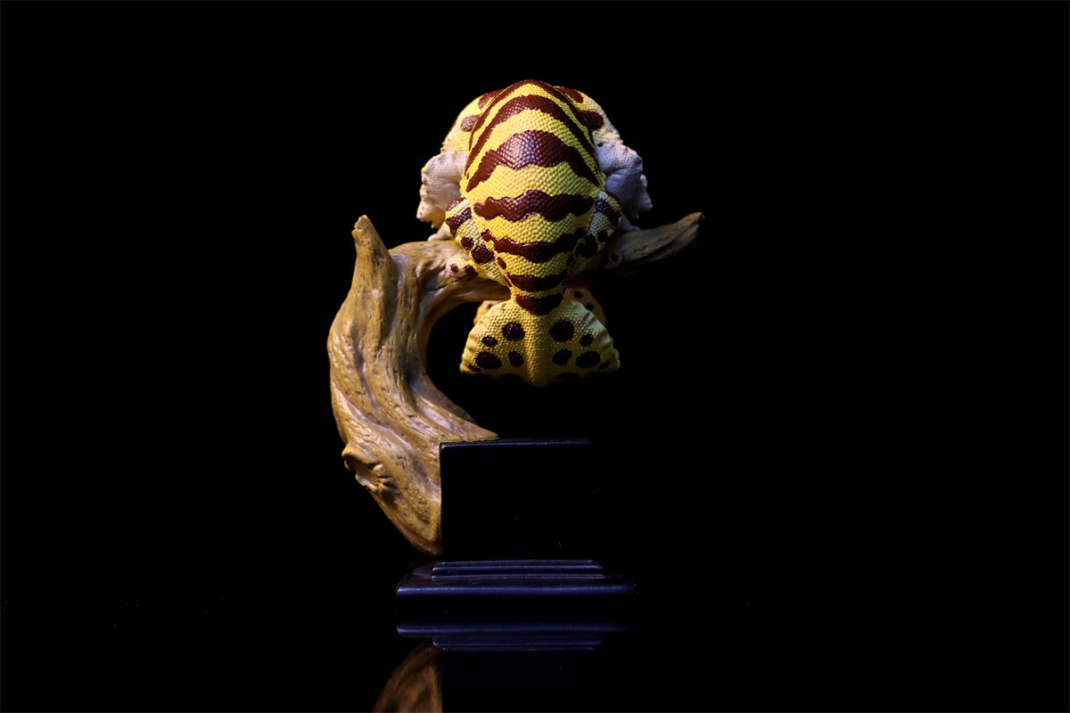 Pet Gekko Blind Box Model