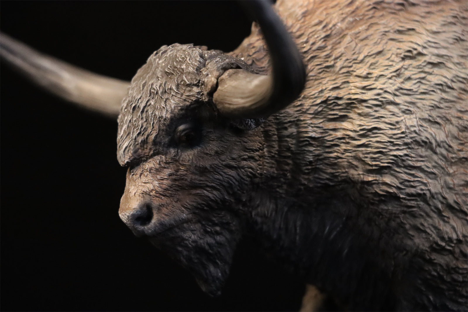 Alex Studio Bison latifrons Model