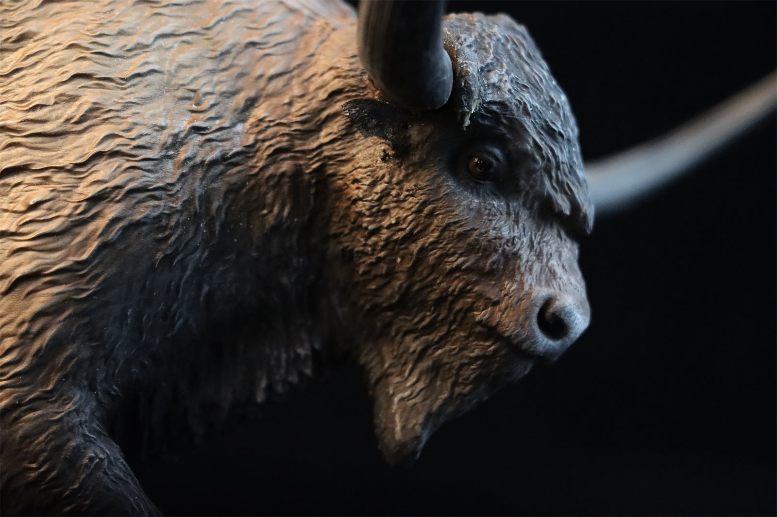 Alex Studio Bison latifrons Model