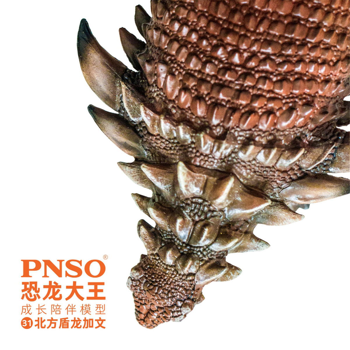 PNSO Borealopelta Model