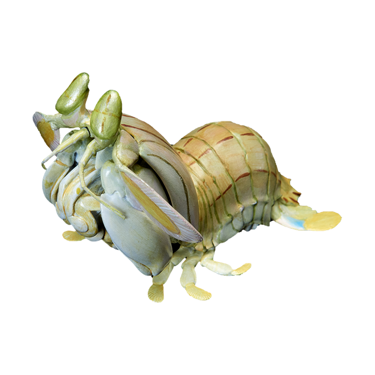 Animal Planet A Series of Laugh and Grow Fat 06 Model