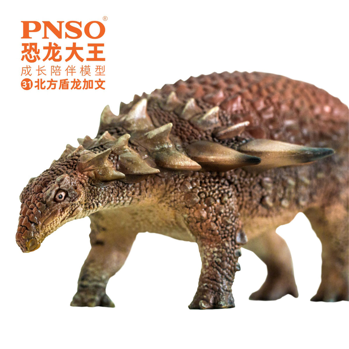 PNSO Borealopelta Model