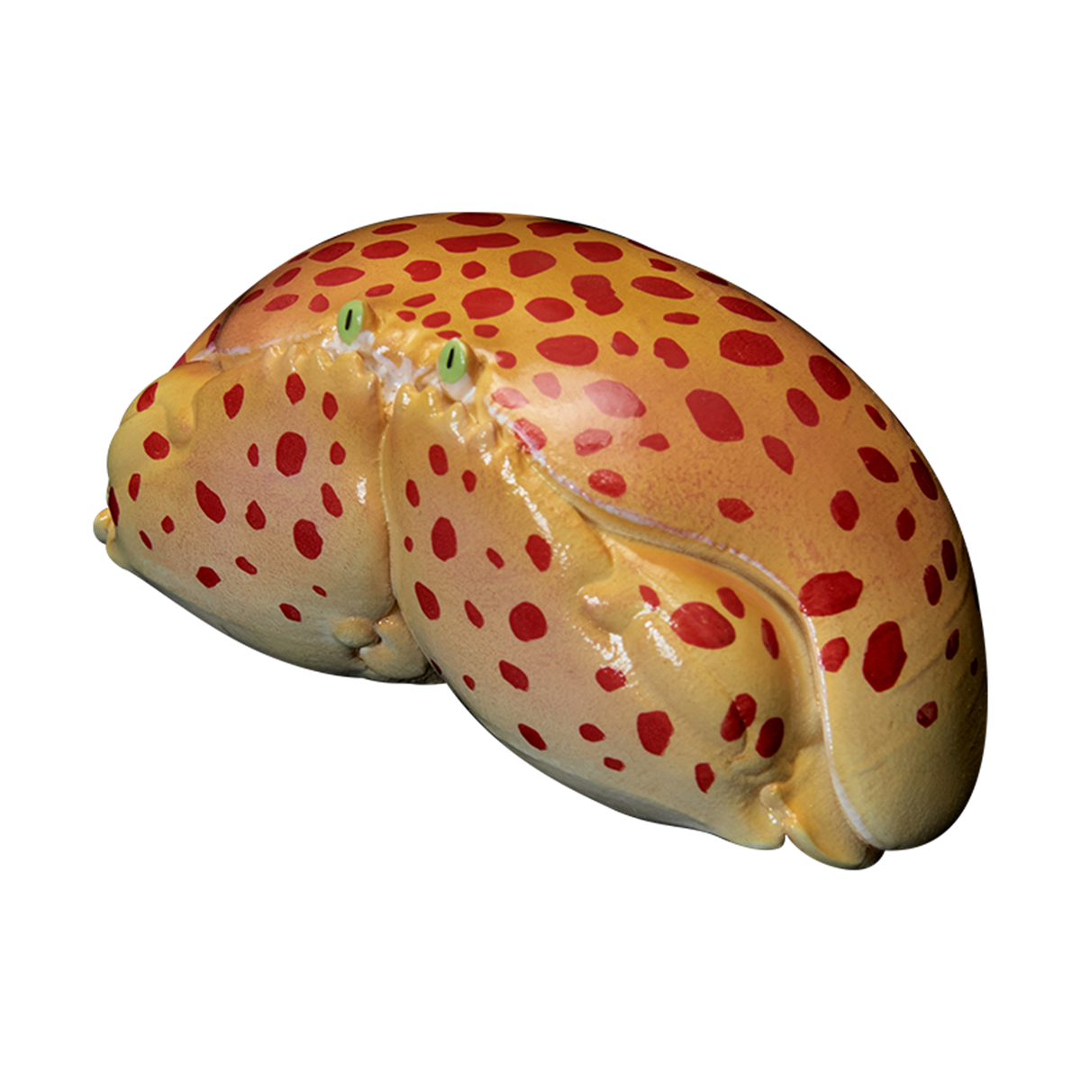 Animal Planet A Series of Laugh and Grow Fat 06 Model