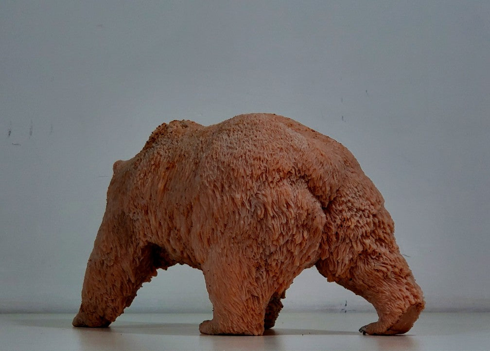 tunan 1:10 Scale Ursus arctos Brown Bear Model