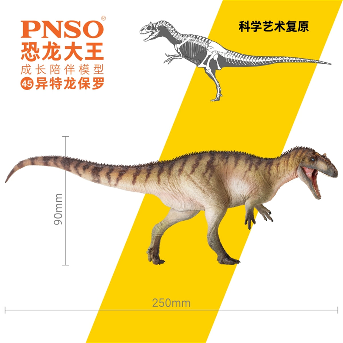 PNSO Allosaurus Paul Model