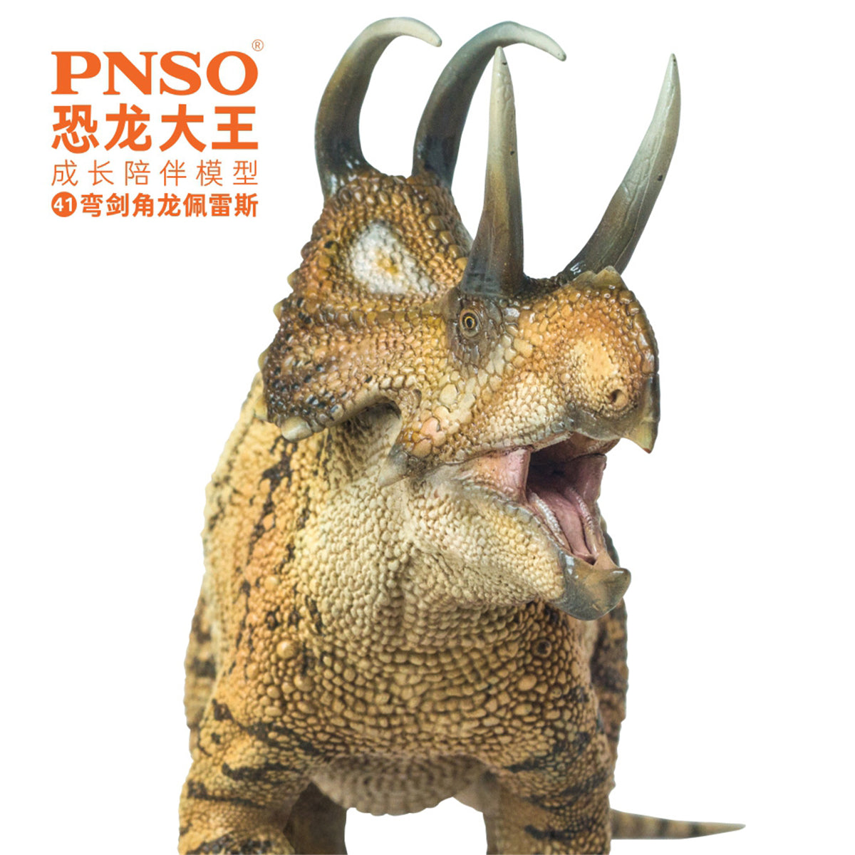 PNSO Machairoceratops Model
