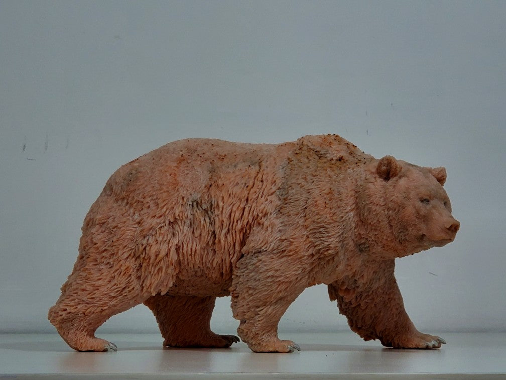 tunan 1:10 Scale Ursus arctos Brown Bear Model