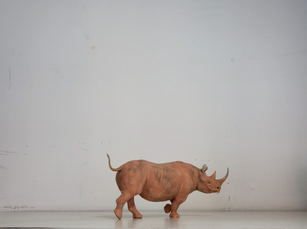 tunan Black Rhino Model