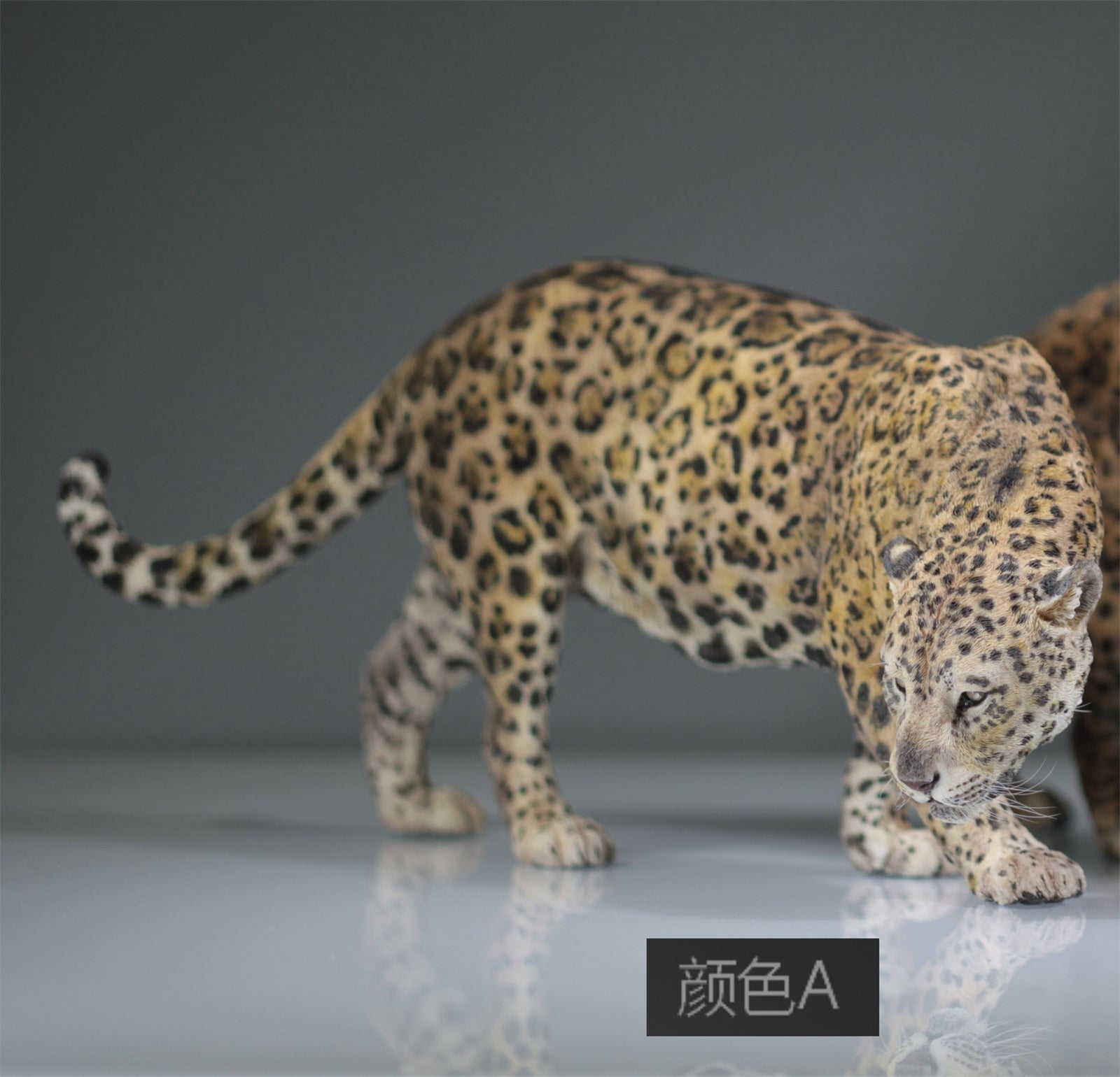 1:6 Panthera onca Scene Model