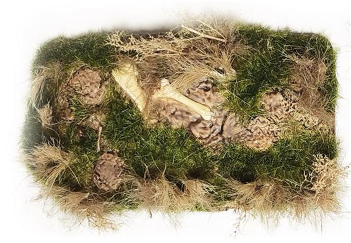 WS Studio Male Lion Fight Scene Statue