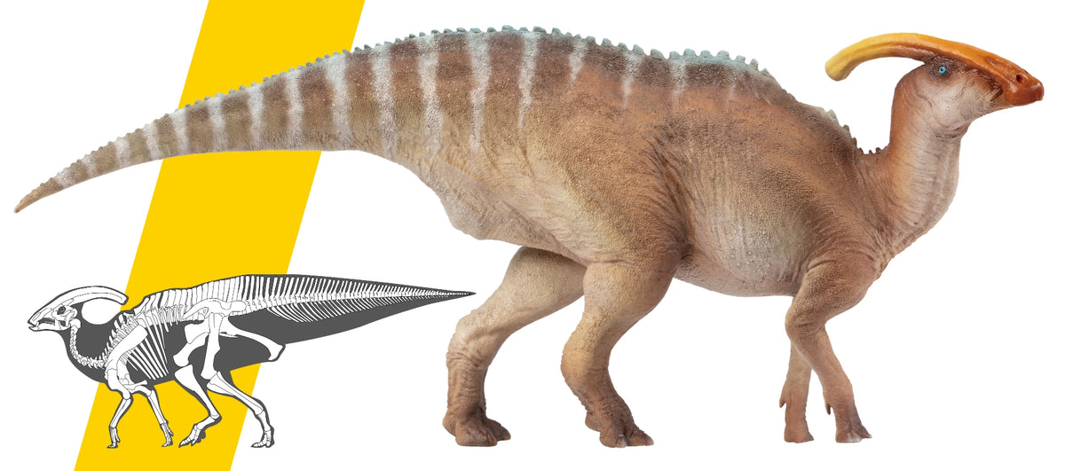 PNSO Parasaurolophus Wyatt Model – Lana Time Shop
