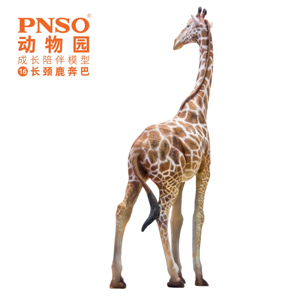 PNSO Giraffe Model