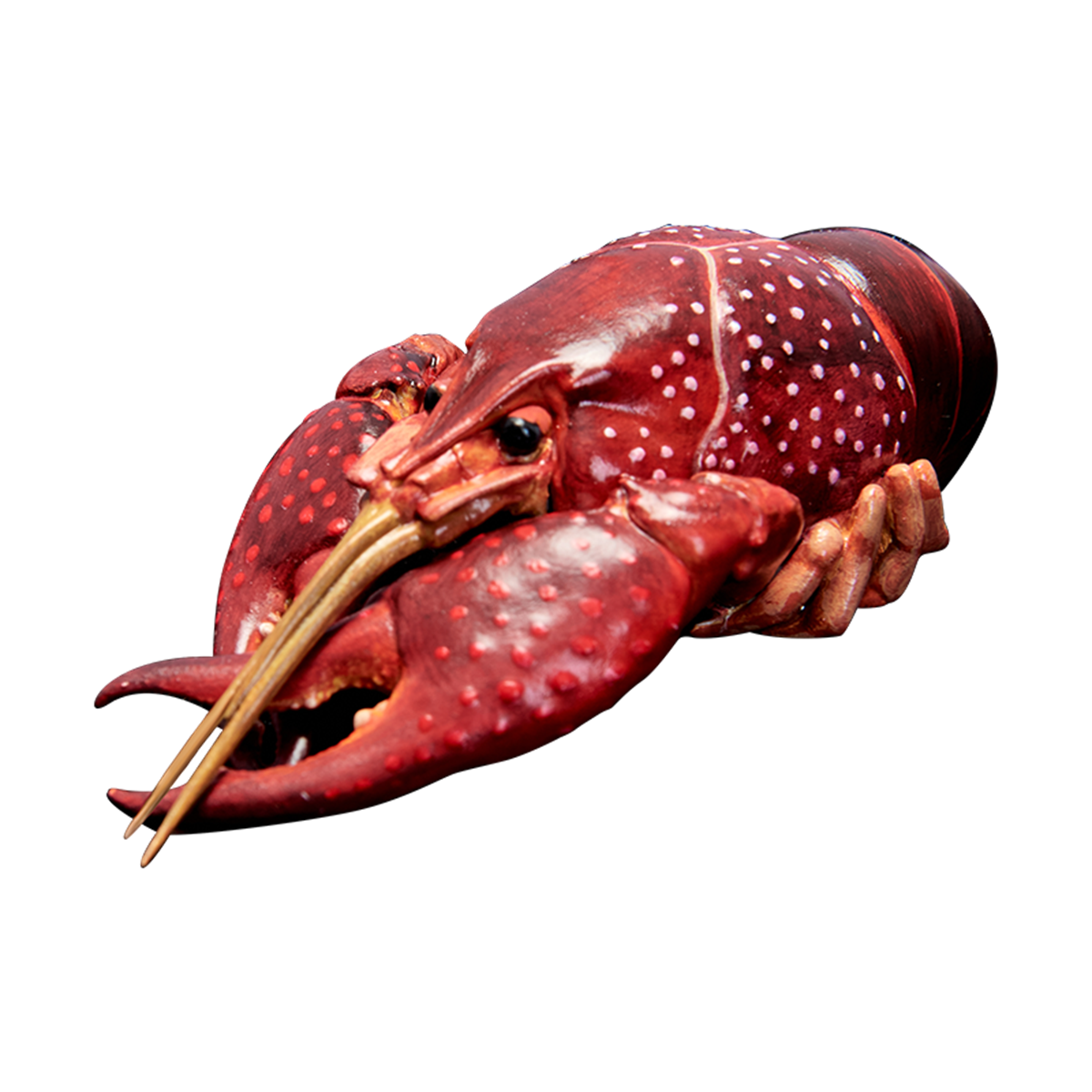 Animal Planet A Series of Laugh and Grow Fat 06 Model