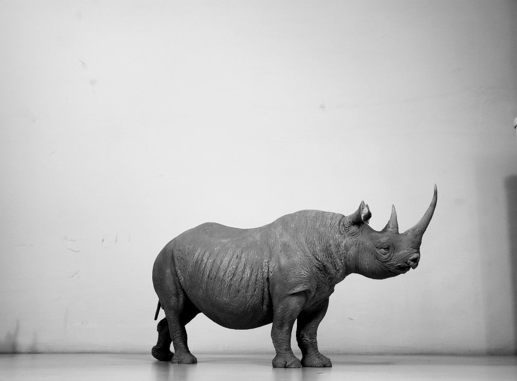 tunan Black Rhino Model