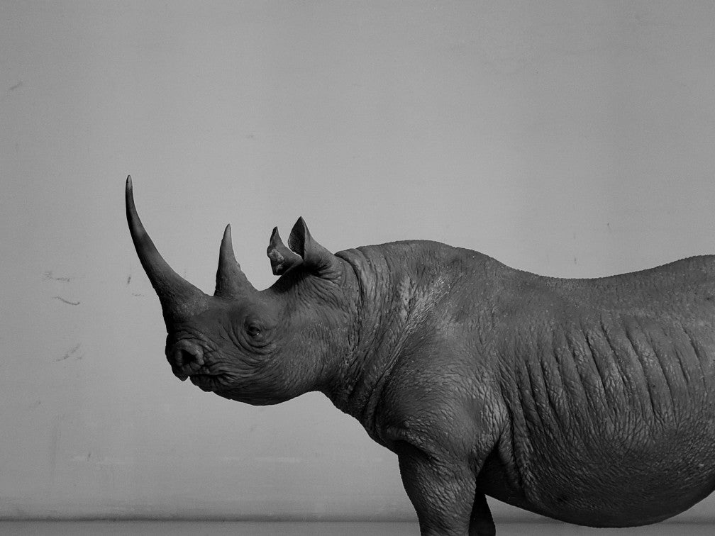 tunan Black Rhino Model