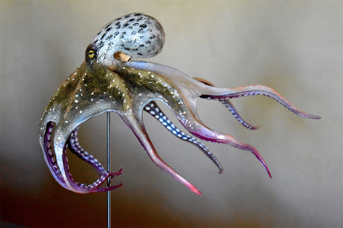Rheic Giant Pacific Octopus Model