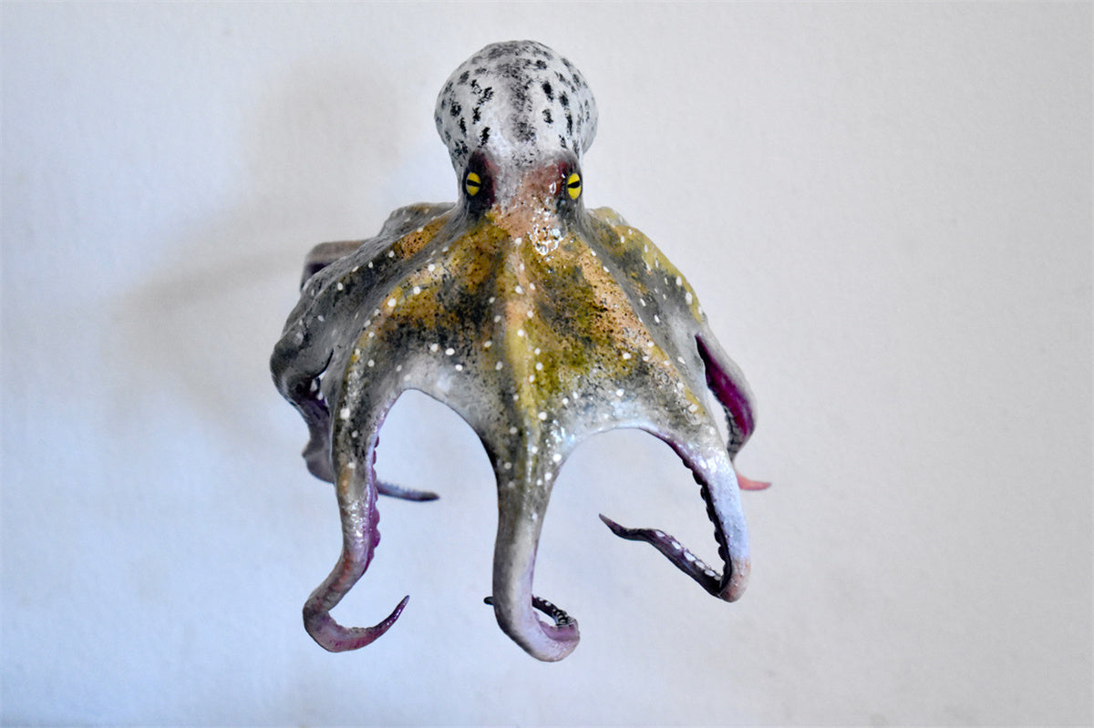 Rheic Giant Pacific Octopus Model