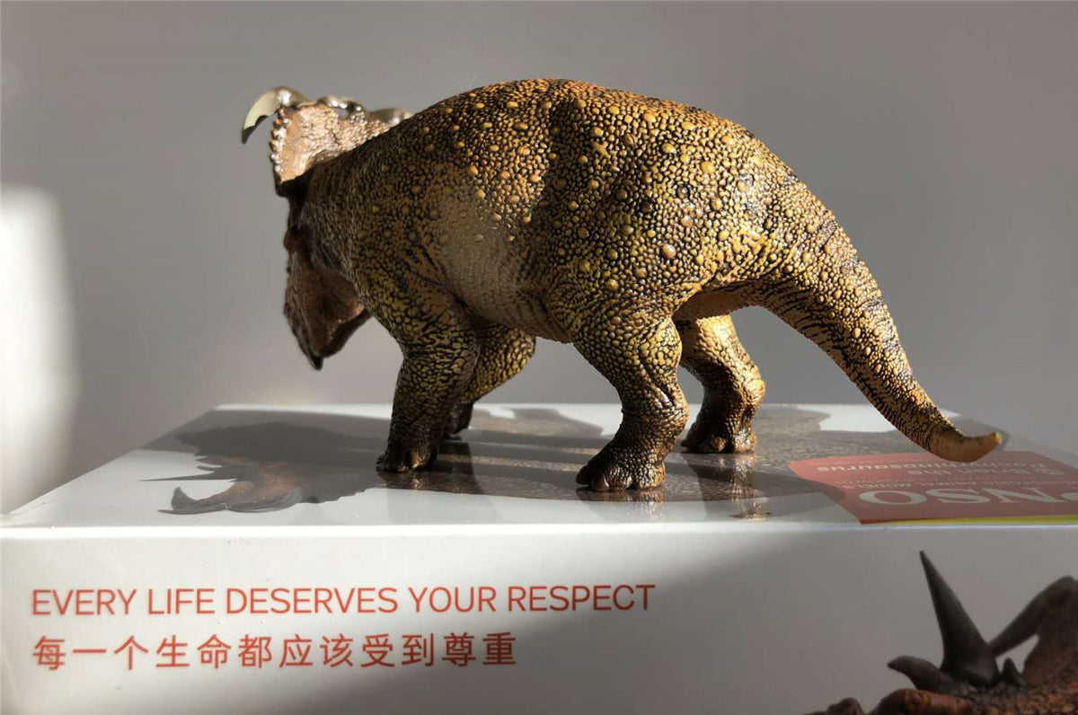 PNSO Pachyrhinosaurus Model