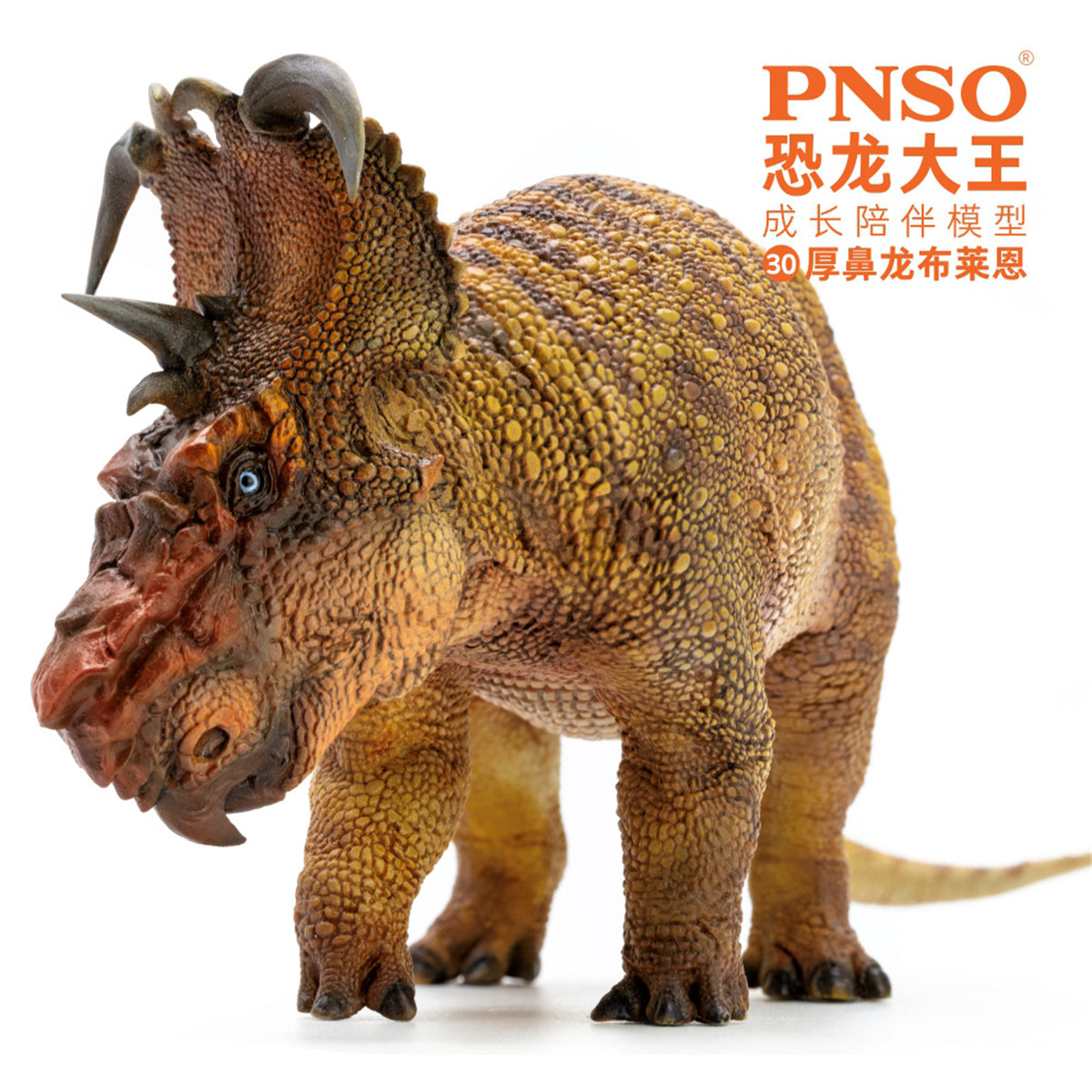 PNSO Pachyrhinosaurus Model