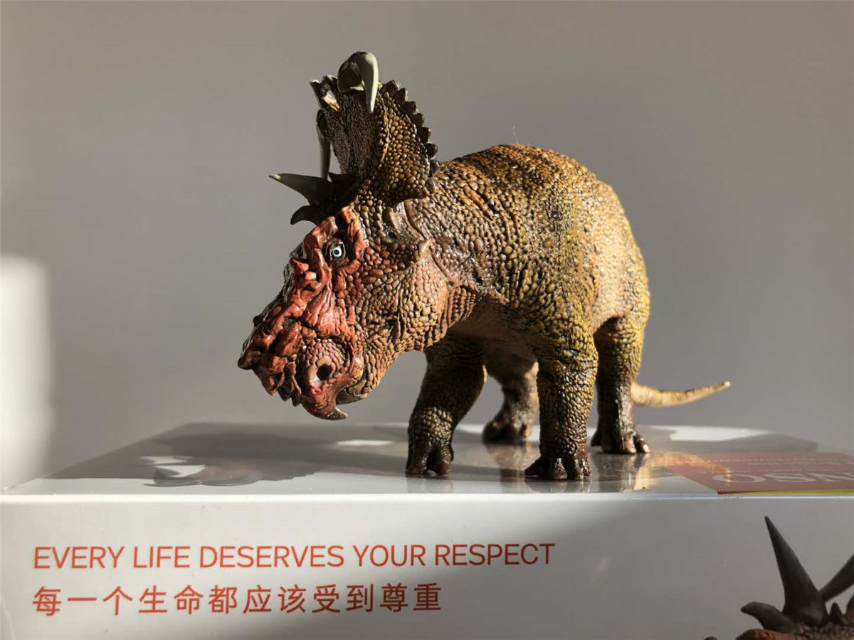 PNSO Pachyrhinosaurus Model
