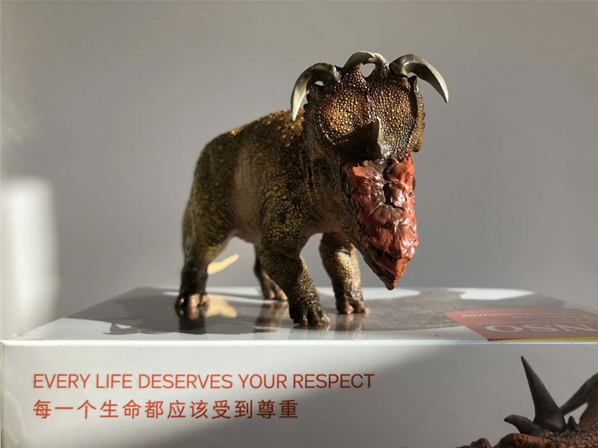 PNSO Pachyrhinosaurus Model