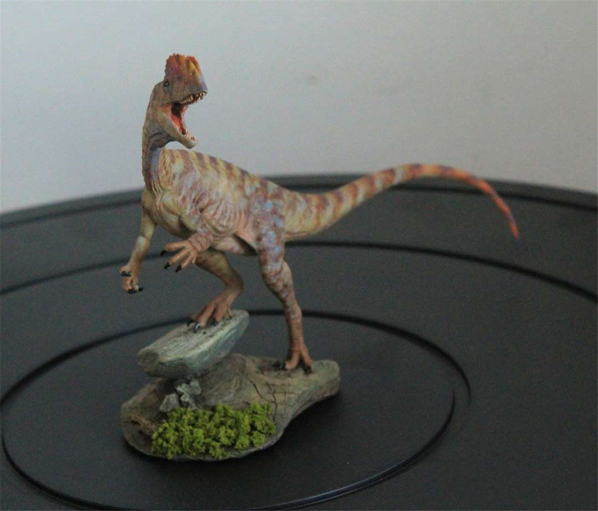 1/35 Dilophosaurus wetherelli Model