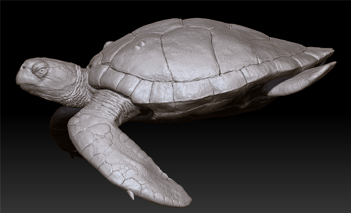Green Turtle Unpainted Figure