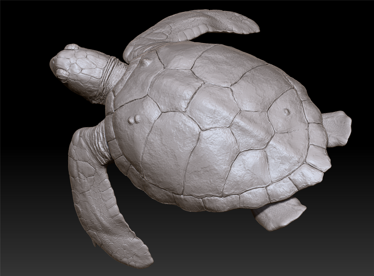 Green Turtle Unpainted Figure