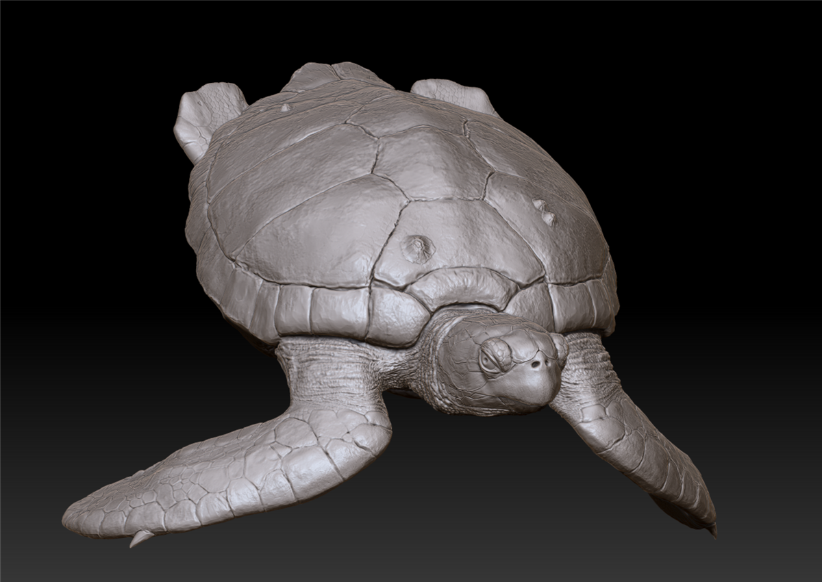 Green Turtle Unpainted Figure