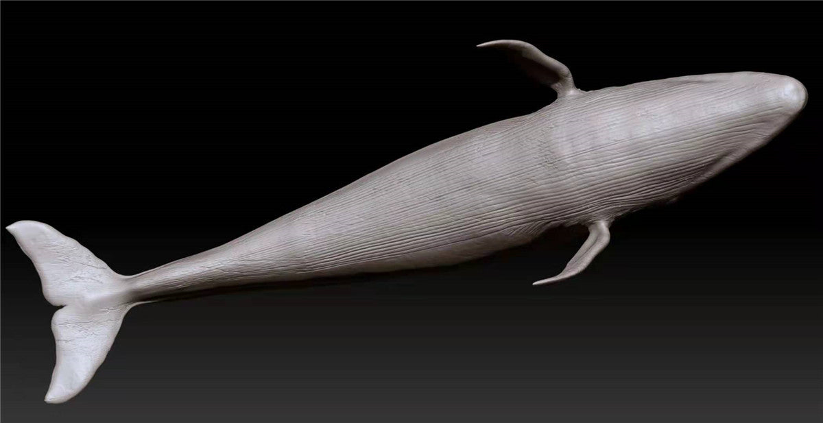 Blue Whale Unpainted Figure
