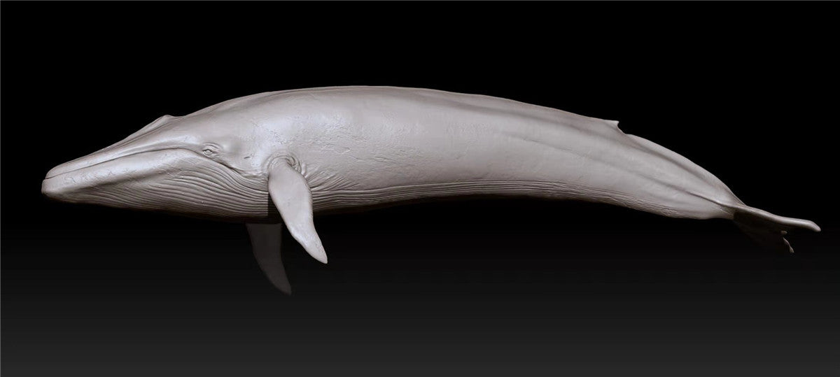 Blue Whale Unpainted Figure