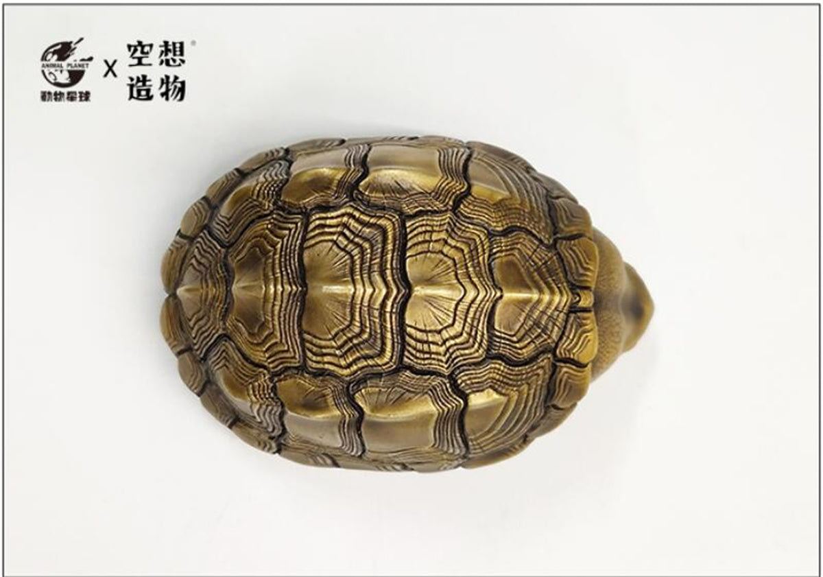 Copper Turtle Model