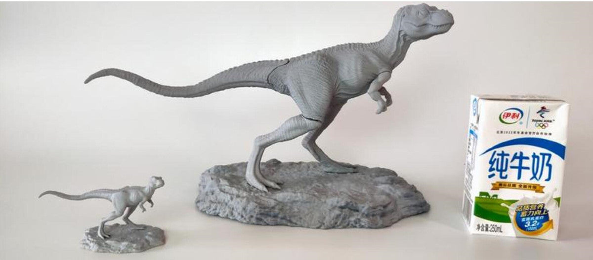 JM Baby Tyrannosaurus Rex Model
